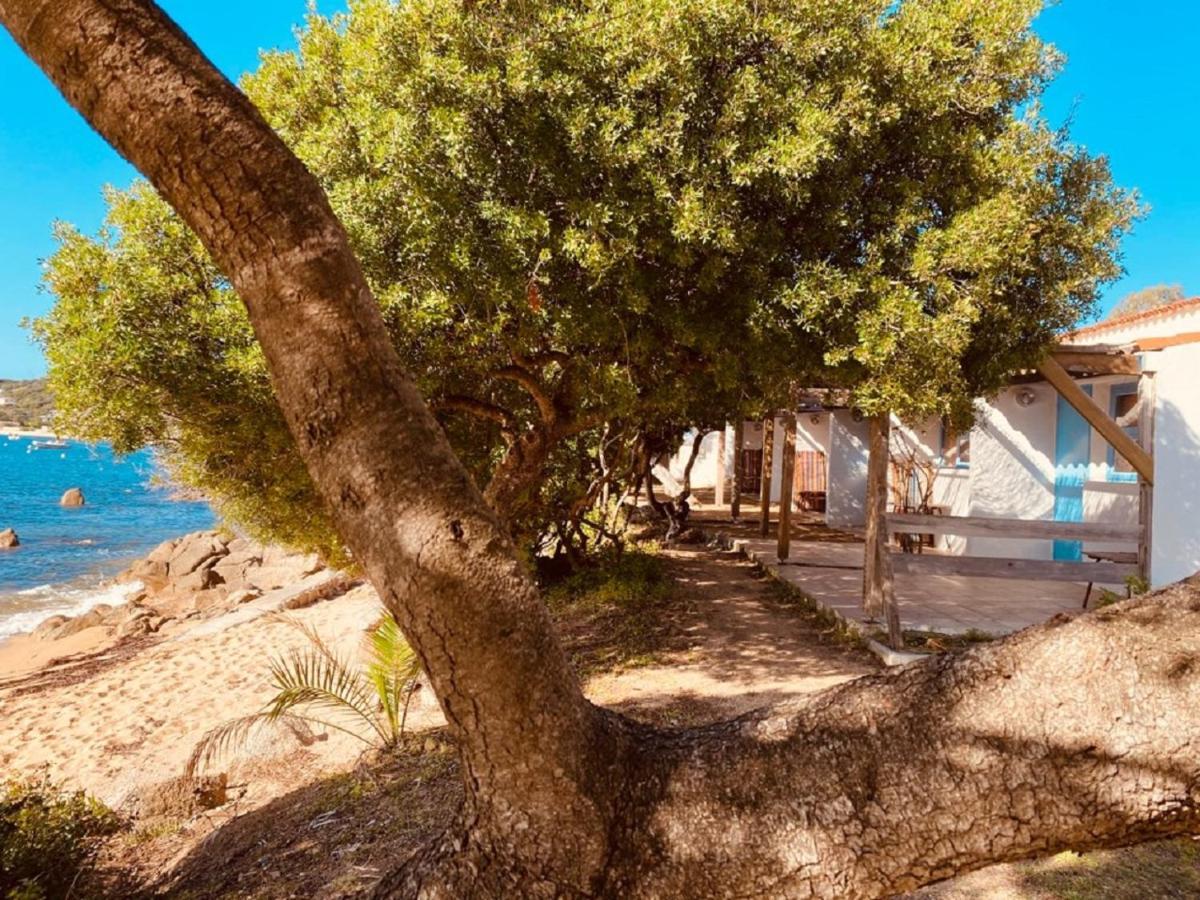 Valinco Village Porto Pollo Εξωτερικό φωτογραφία