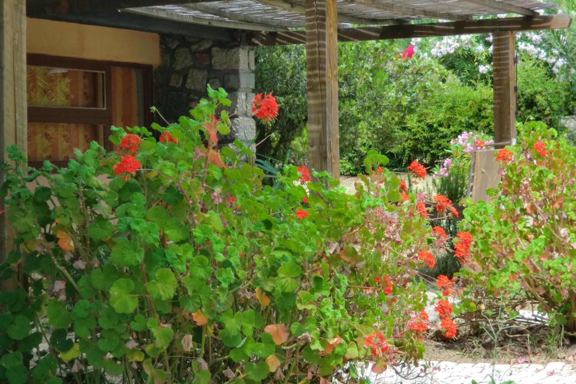 Valinco Village Porto Pollo Εξωτερικό φωτογραφία